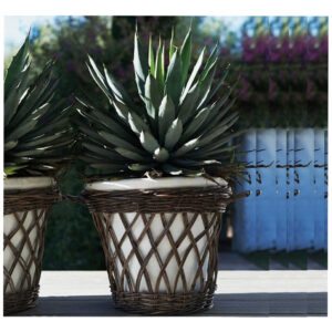 Terracota Pot Basket With Slimit  Rattan