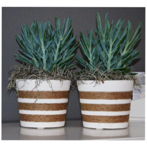 Terracota Pot Basket