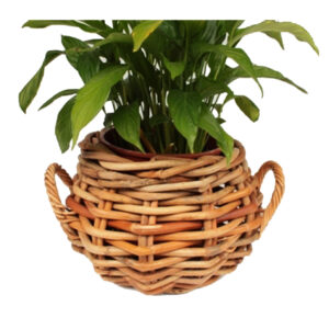 Bowl Pot Basket CL Rattan