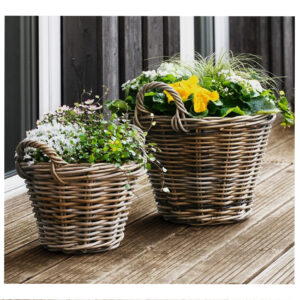 Set Of  Petato Pot Basket
