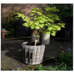 Round Pot With Flower