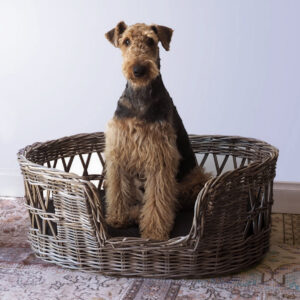 Savona Dog Bed Kubu Grey