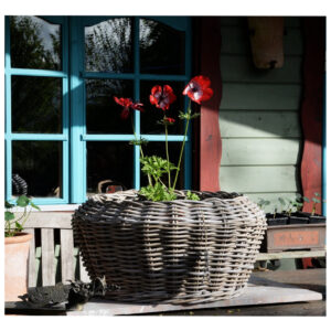 Jumbo Bowl Pot With Flower