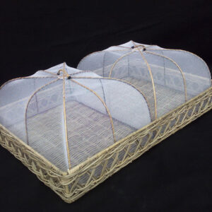 Tray With Food Cover