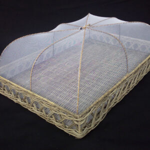 Tray With Food Cover Single