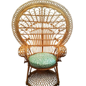 Peacock Chair
